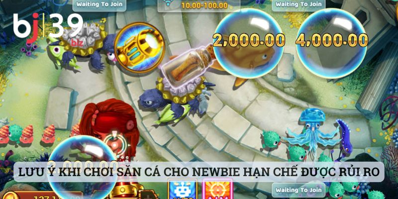 Lưu ý khi chơi săn cá cho newbie hạn chế được rủi ro