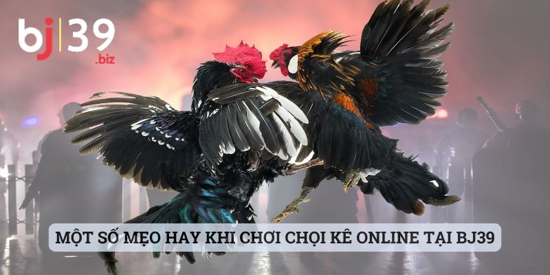Một số mẹo hay khi chơi chọi kê online tại BJ39