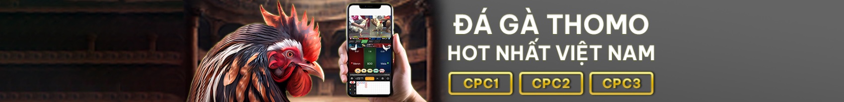 Banner đá gà BJ39